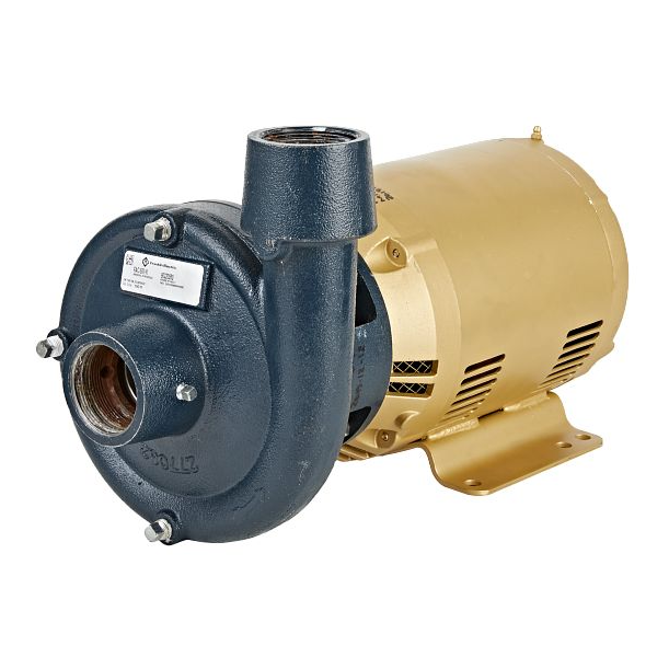 Franklin Electric FAC Series Close-Coupled Centrifugal Pumps